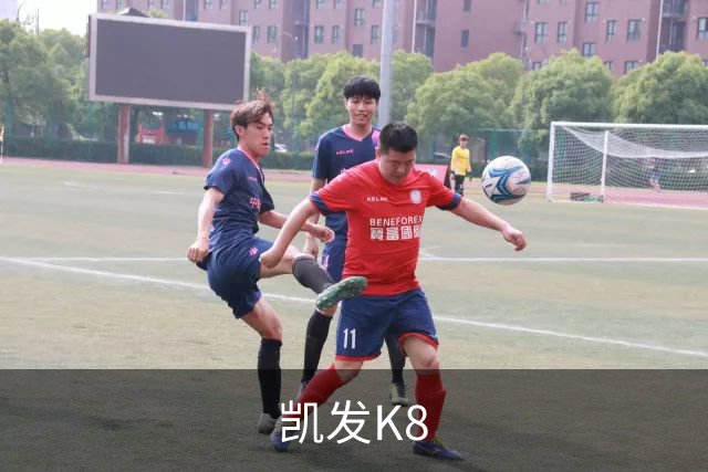 凯发K8公司简介